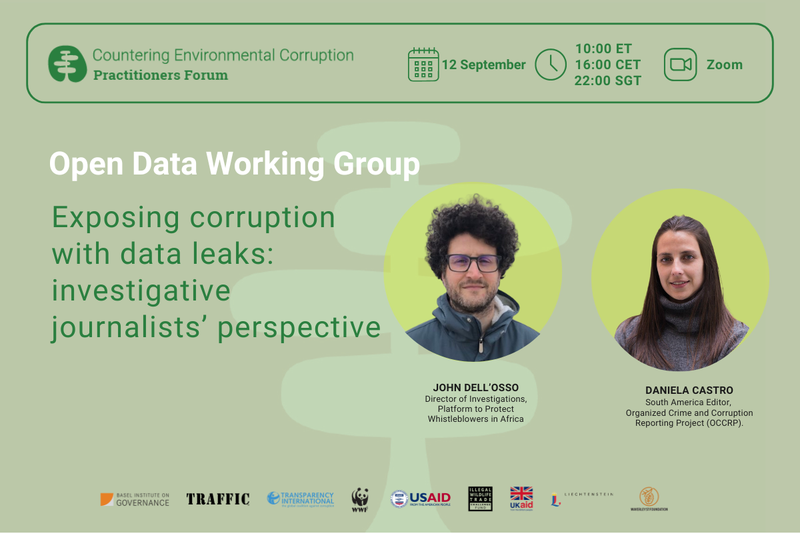 Exposing corruption with data leaks the investigative journalists